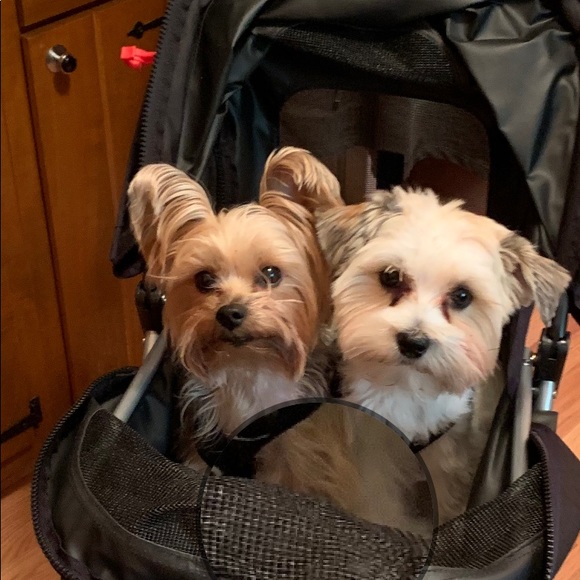 Meet your Posher, Kim - Picture 1 of 1